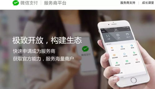 江蘇中理網(wǎng)絡(luò)科技 服務(wù)商定位、準入路徑與網(wǎng)絡(luò)技術(shù)服務(wù)解析